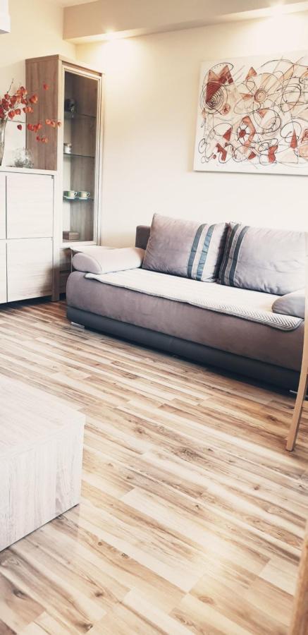 Wici 2 Apartments Teofilow Wodny Raj Λοτζ Εξωτερικό φωτογραφία
